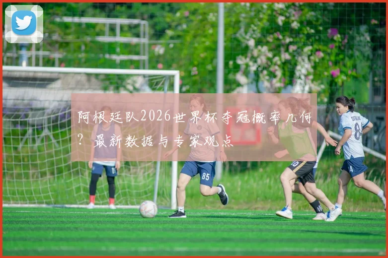 阿根廷队2026世界杯夺冠概率几何？最新数据与专家观点